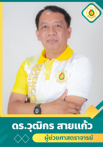 วุฒิกร  สายแก้ว