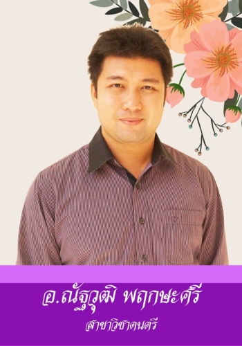 ณัฐวุฒิ พฤกษะศรี